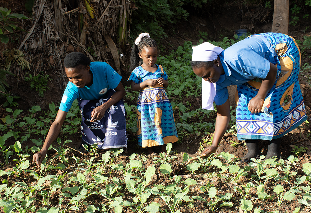 Zambian sisters provide mothers with education on early childhood development – Global Sisters Report